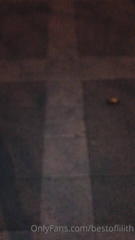 Night walk with my public slave-dog