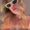 Avatar photo